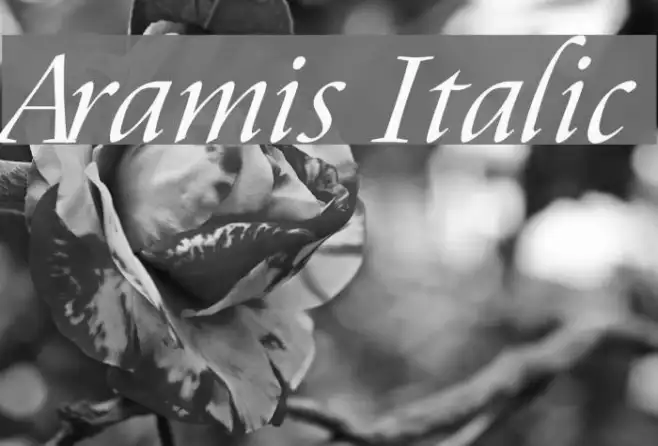 Aramis Italic Example 3