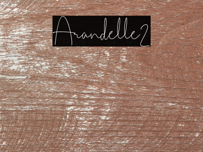 Arandelle2 Example 1