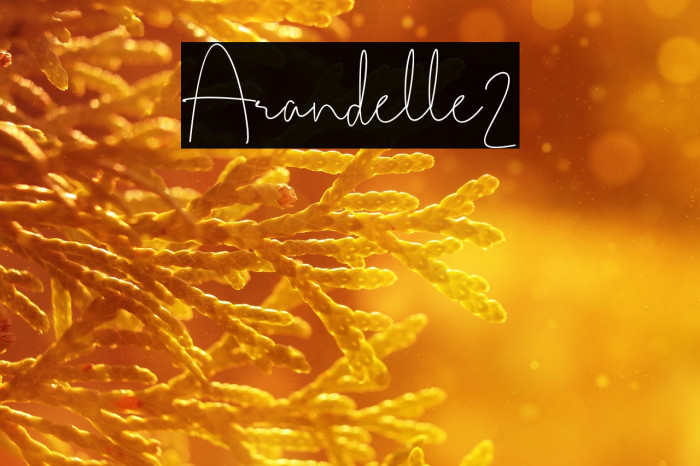 Arandelle2 Example 2