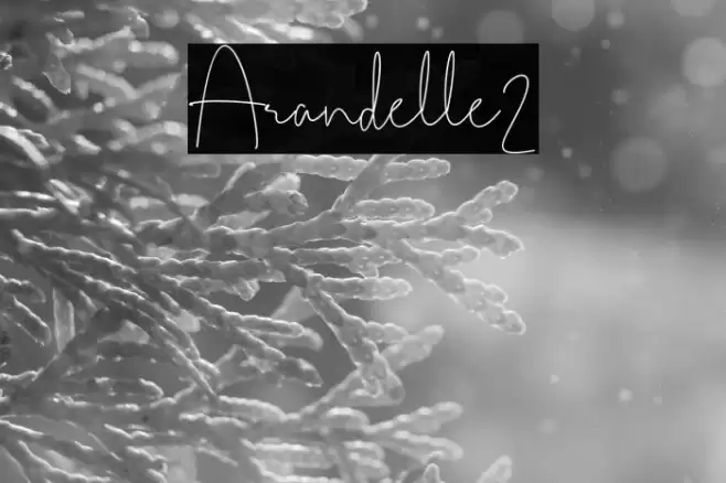 Arandelle2 Font examples