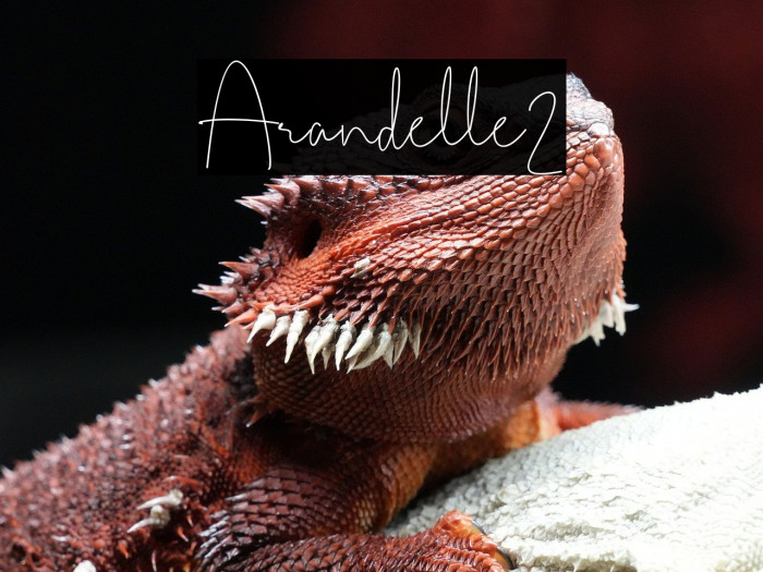 Arandelle2 Example 3