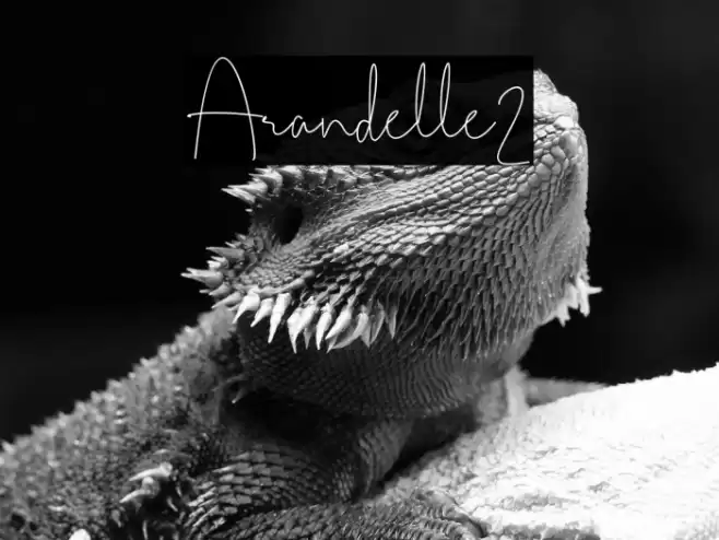 Arandelle2 Font examples