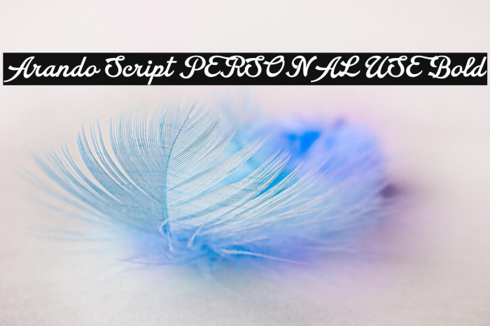 Arando Script PERSONAL USE Bold Example 2