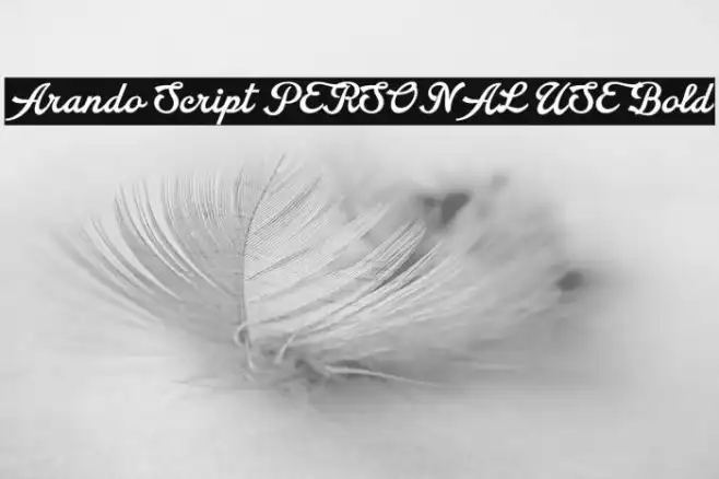 Arando Script PERSONAL USE Bold Example 2