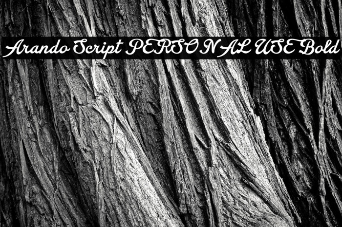 Arando Script PERSONAL USE Bold Example 3