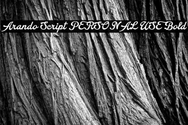 Arando Script PERSONAL USE Bold Example 3
