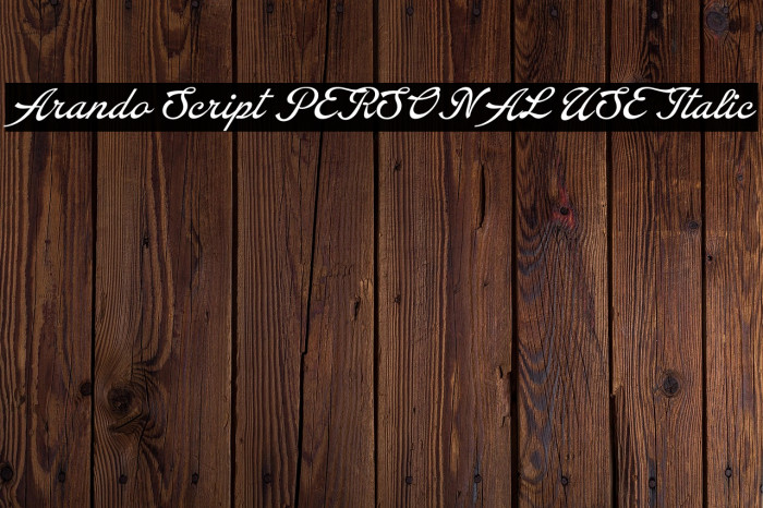Arando Script PERSONAL USE Italic Example 3