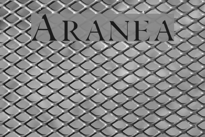 Aranea Font examples