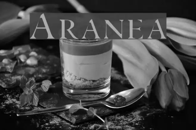 Aranea Example 3