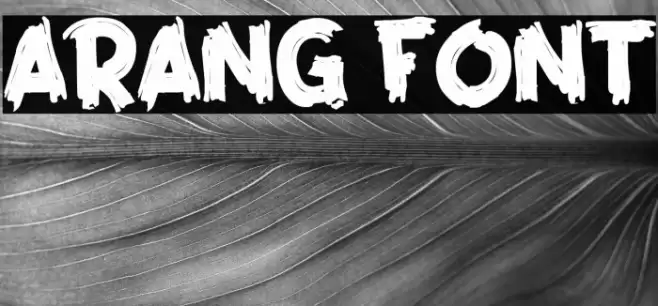 Arang Font examples