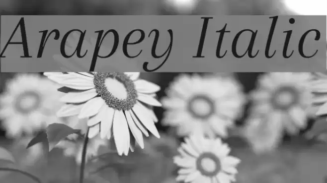 Arapey Italic Font examples