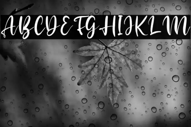 Arastela Font examples