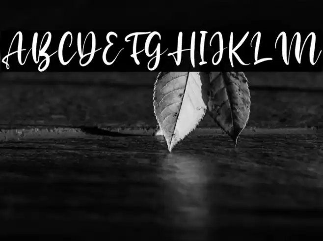 Arastela Font examples