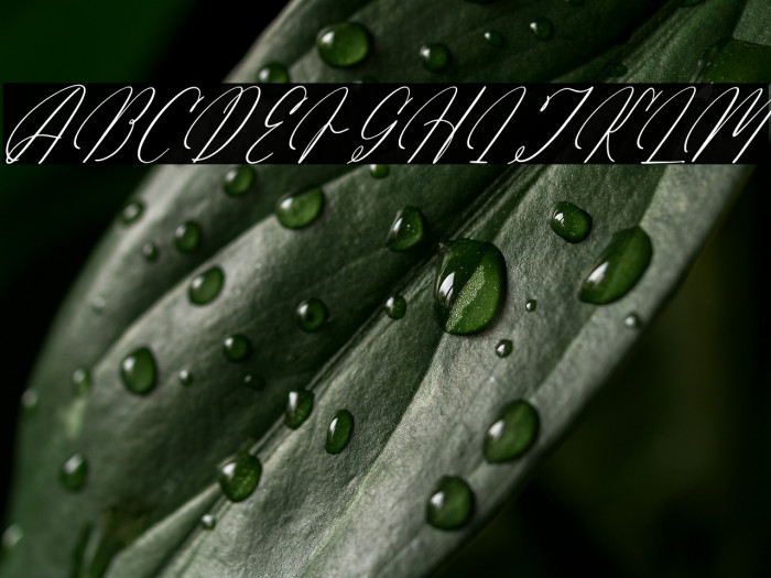 Arathevil Bontegliar DEMO VERSI Italic Example 2