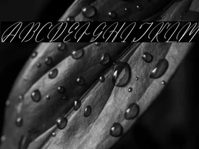 Arathevil Bontegliar DEMO VERSI Italic Caratteri examples