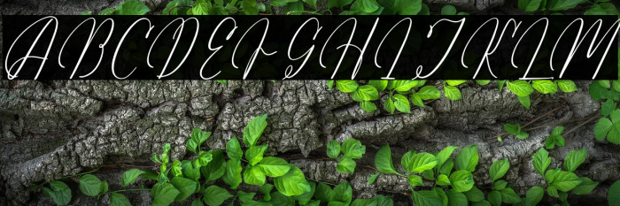 Arathevil Bontegliar DEMO VERSI Example 1