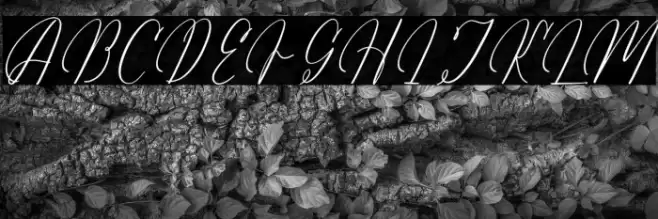 Arathevil Bontegliar DEMO VERSI Caratteri examples