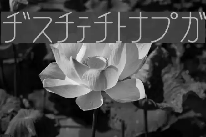 ArawasuKT Example 3