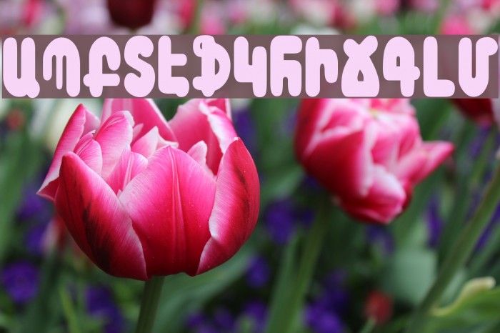 Arax Font examples