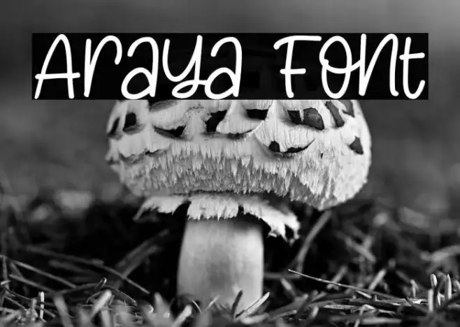 Araya Example 1