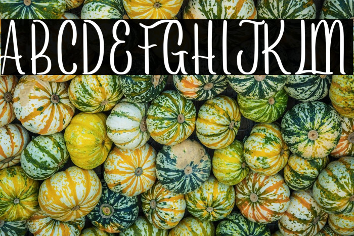 Arayarademo Example 1