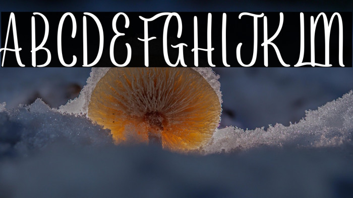 Arayarademo Example 2