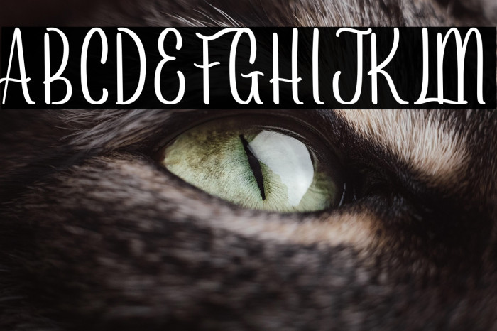 Arayarademo Example 1