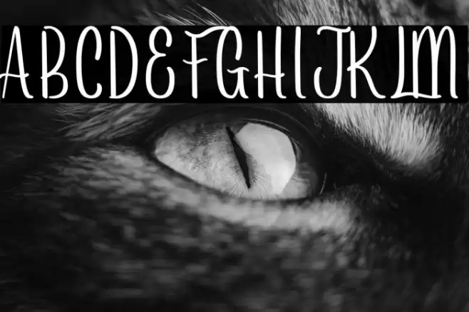 Arayarademo Font examples