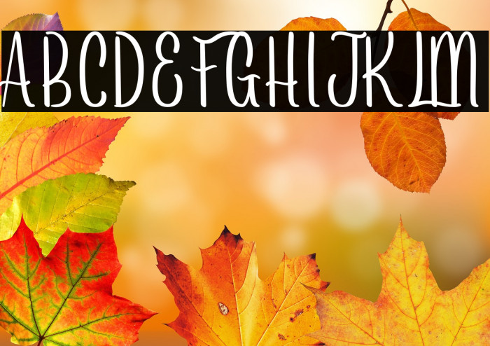 Arayarademo Example 2