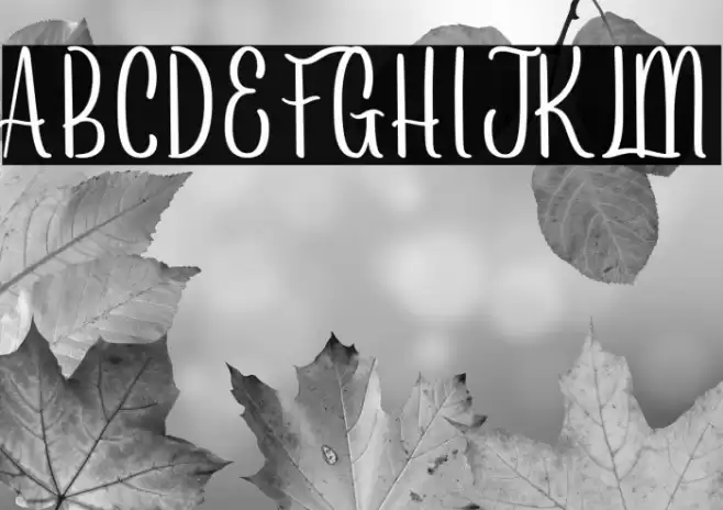 Arayarademo Font examples