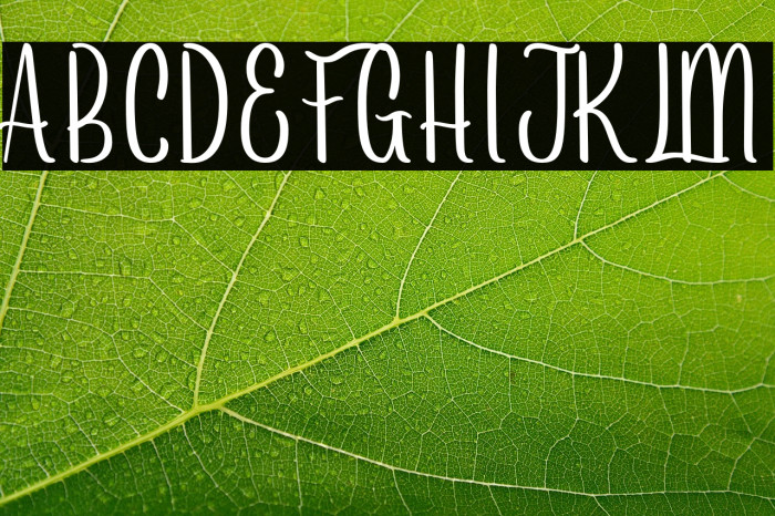 Arayarademo Example 3