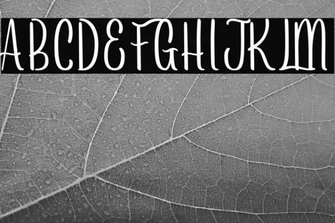 Arayarademo Font examples