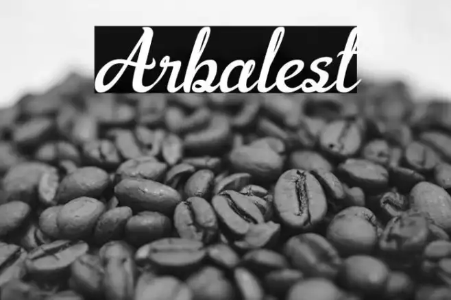 Arbalest Example 2