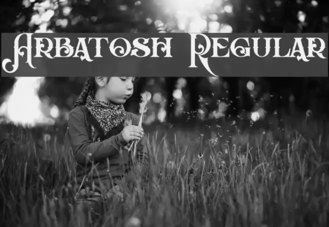 Arbatosh Regular Font examples