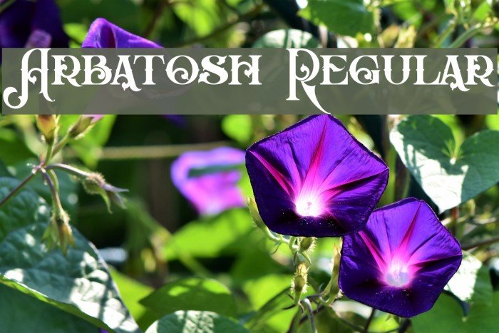 Arbatosh Regular Example 3