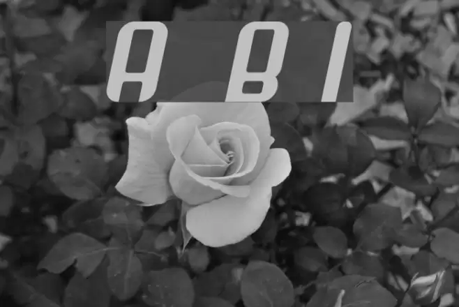 Arbeka  Bold Italic Font examples