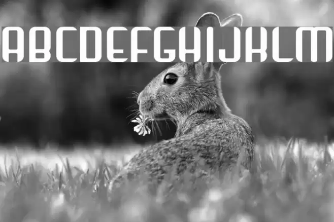 Arbeka  Bold Font examples