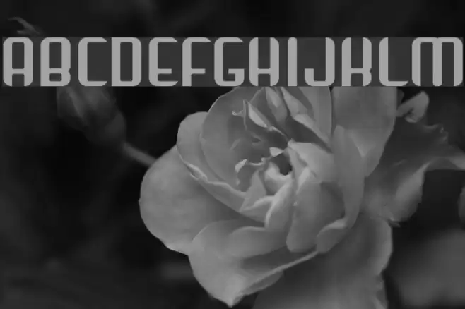 Arbeka  Bold Font examples