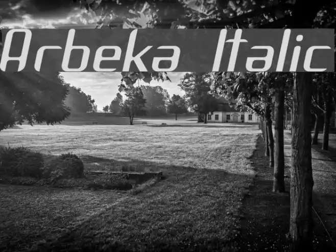 Arbeka  Italic Example 3