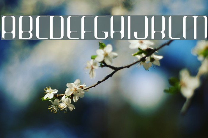 Arbeka Light Font examples