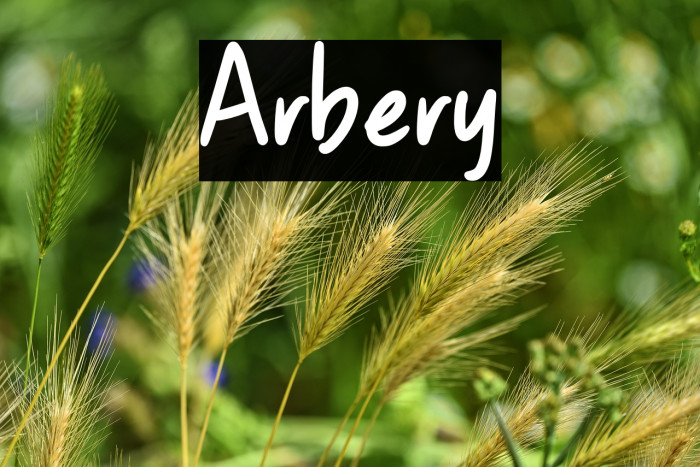 Arbery Example 1