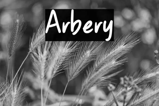 Arbery Font examples