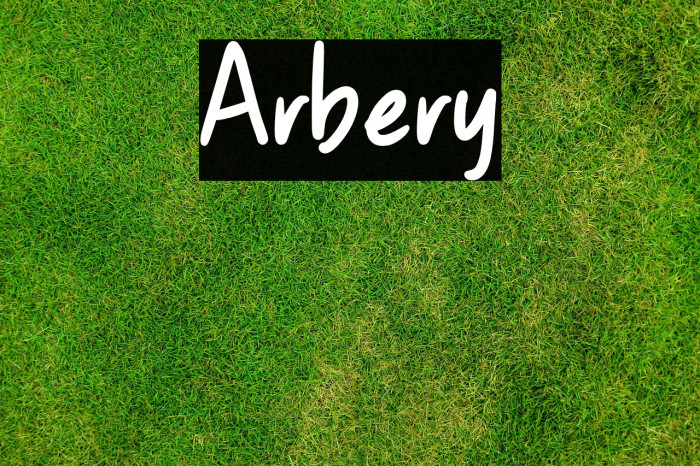 Arbery Example 3