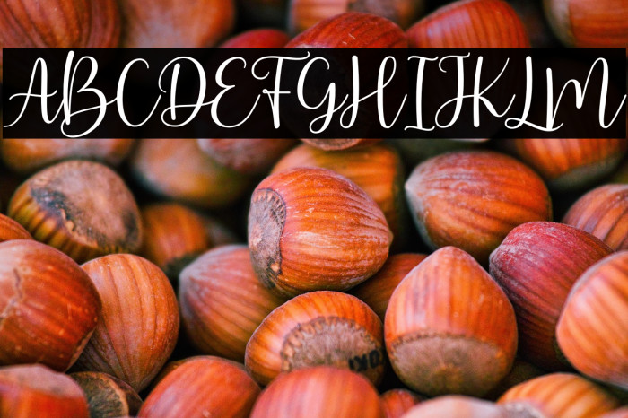 ArbhieScript Example 1