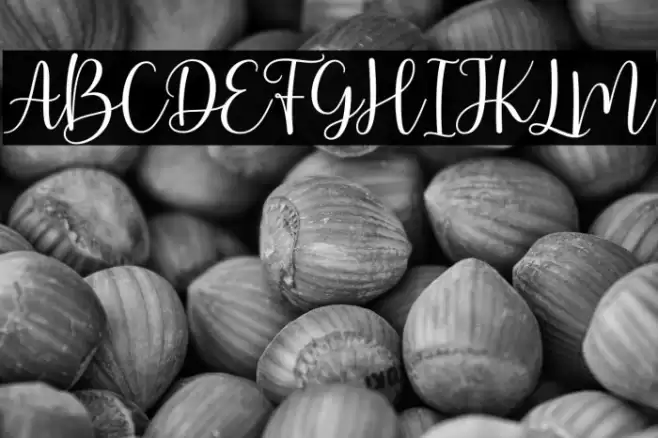 ArbhieScript Font examples