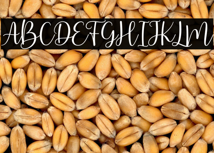 ArbhieScript Example 3