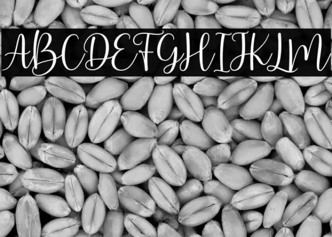 ArbhieScript Font examples