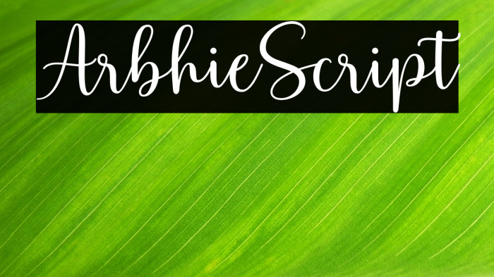 ArbhieScript Example 1