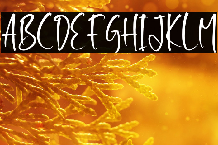 Arbiot Mentaly Example 2