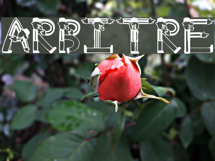 Arbitre Font examples